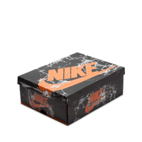 Air Jordan 1 Retro High OG GS 'Shattered Backboard'