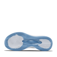 Rigorer AR1 'Iceman'