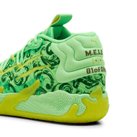 Puma MB.03 'LaFrancé'