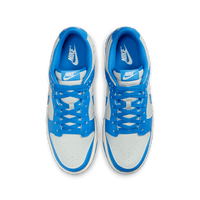 Nike Dunk Low Retro 'Light Silver/Light Photo Blue'