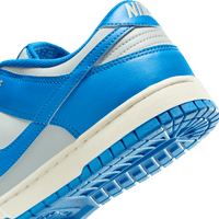 Nike Dunk Low Retro 'Light Silver/Light Photo Blue'