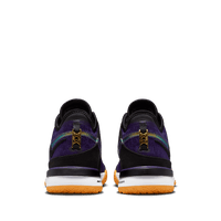 Nike LeBron NXXT Gen EP 'Court Purple'
