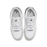 Air Jordan 3 Retro GS 'Animal Icon'