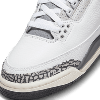 Air Jordan 3 Retro GS 'Animal Icon'