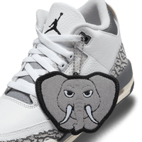 Air Jordan 3 Retro GS 'Animal Icon'
