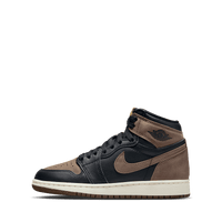Air Jordan 1 Retro High OG GS 'Palomino'