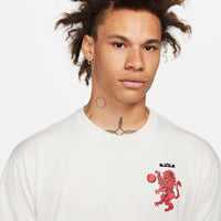 Nike LeBron Men's Max90 T-Shirt