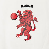 Nike LeBron Men's Max90 T-Shirt