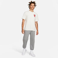 Nike LeBron Men's Max90 T-Shirt