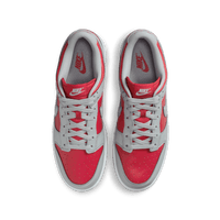 Nike Dunk Low 'Varsity Red and Silver'