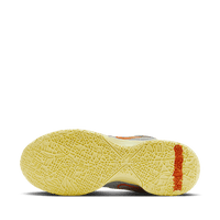 Nike Zoom LeBron NXXT Gen AMPD EP x TITAN 'Hope'