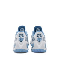 Rigorer AR1 'Iceman'