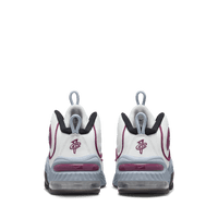 Wmns Nike Air Penny 2 'Rosewood'