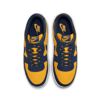 Nike Terminator Low OG 'University Gold and Navy'