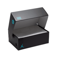 Air Jordan 11 Retro GS 'Gamma'