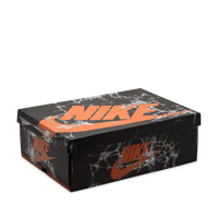 Air Jordan 1 Retro High OG 'Shattered Backboard'