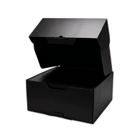 Nike LeBron XXIII EP 'Out For Redemption'