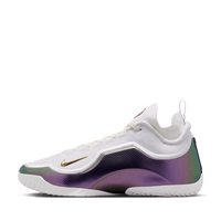 Nike LeBron XXIII Elite EP 'For The Record'