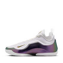 Nike LeBron XXIII Elite EP 'For The Record'