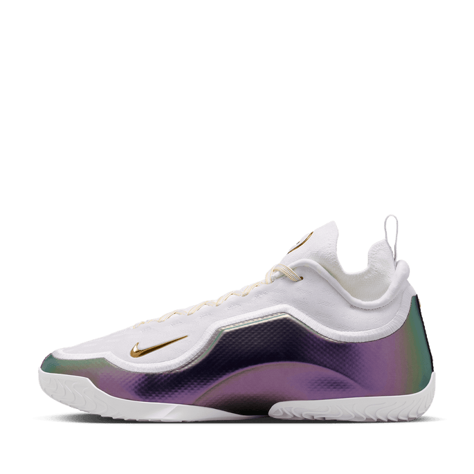Nike LeBron XXIII Elite EP 'For The Record' | White