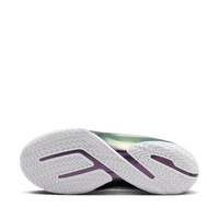 Nike LeBron XXIII Elite EP 'For The Record'
