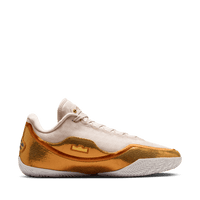Nike LeBron XXIII EP 'LeBronto'