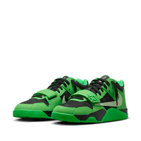 Jordan CJ1 T-Rexx 'Green Spark'