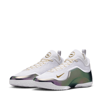 Nike LeBron XXIII Elite EP 'For The Record'
