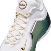 Nike LeBron XXIII Elite EP 'For The Record'