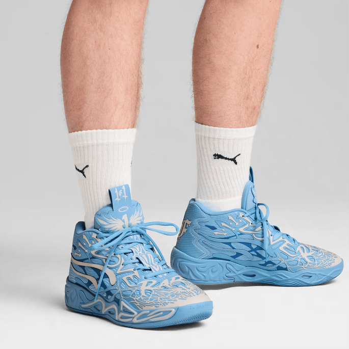 Puma 'LaFrancé of 1'