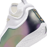 Nike LeBron XXIII Elite EP 'For The Record'