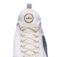 Nike LeBron XXIII Elite EP 'For The Record'