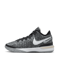 Nike LeBron NXXT Gen EP 'Wolf Grey'